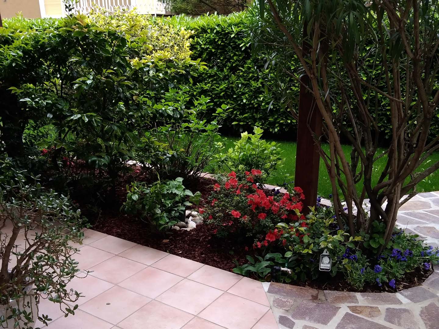 Giardino 50 mq Stefano Belloni Giardini Padova