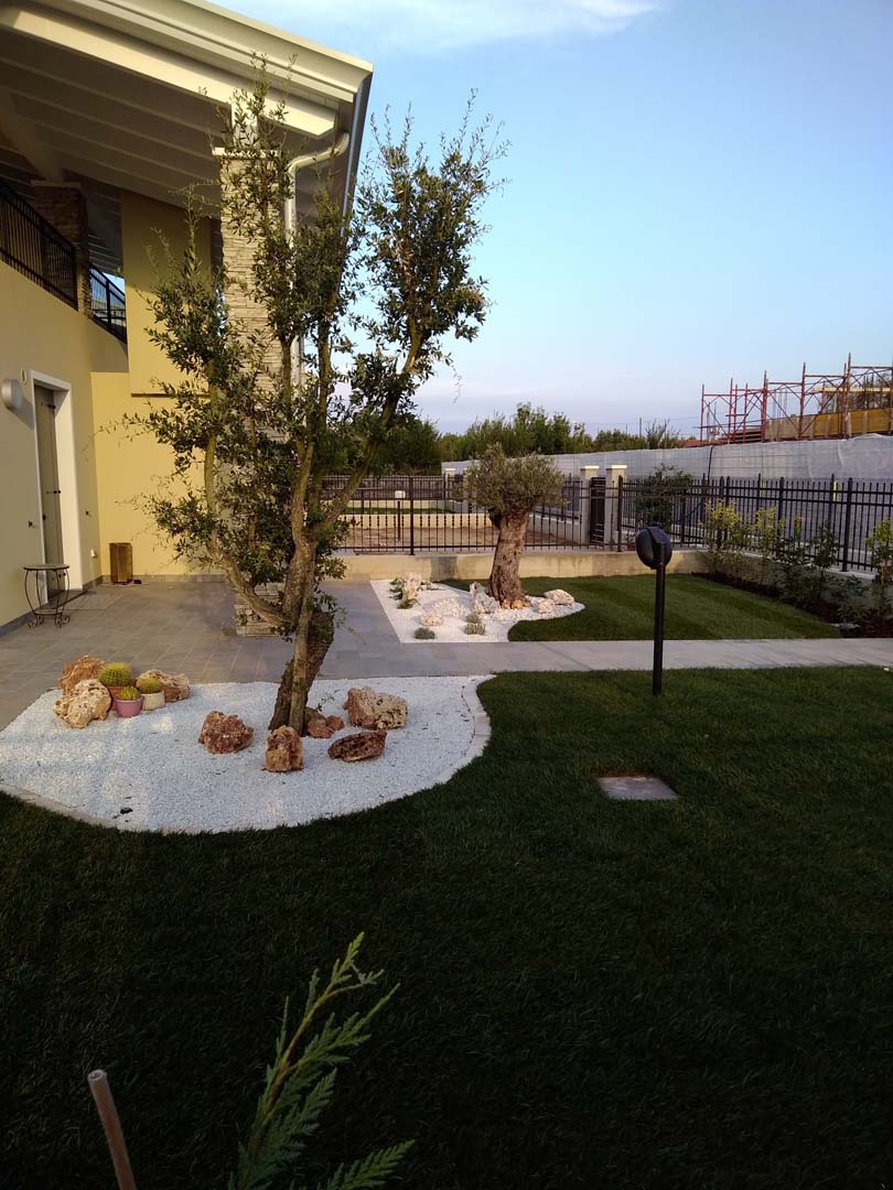 progettazione giardino 200 mq a padova