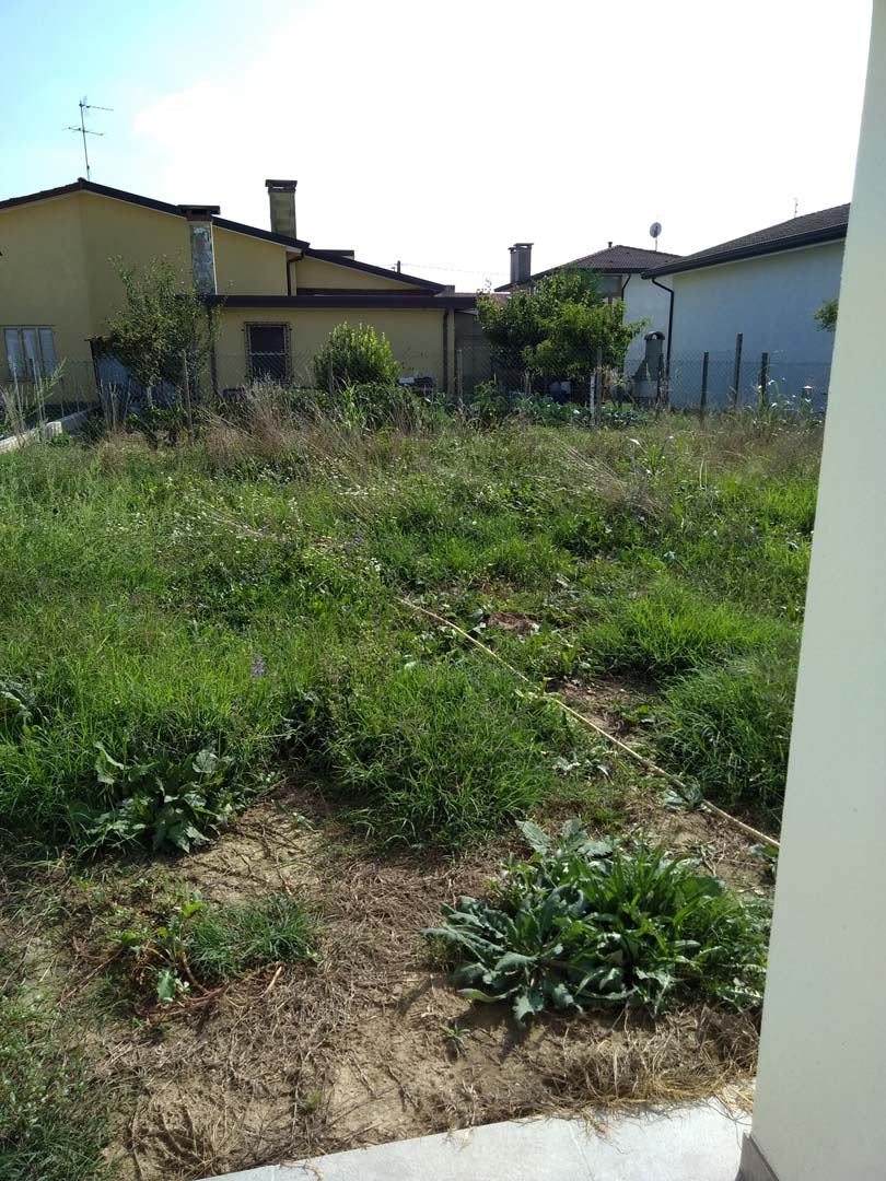 progettazione giardino 250 mq a padova