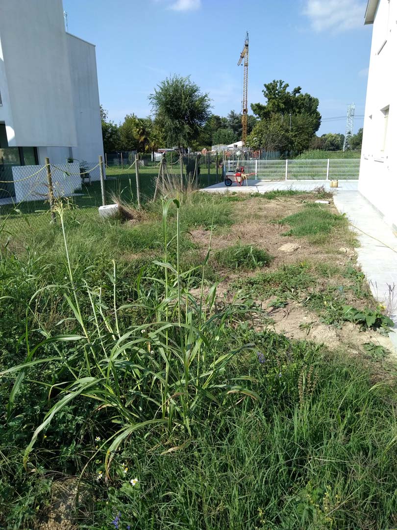 progettazione giardino 250 mq a padova