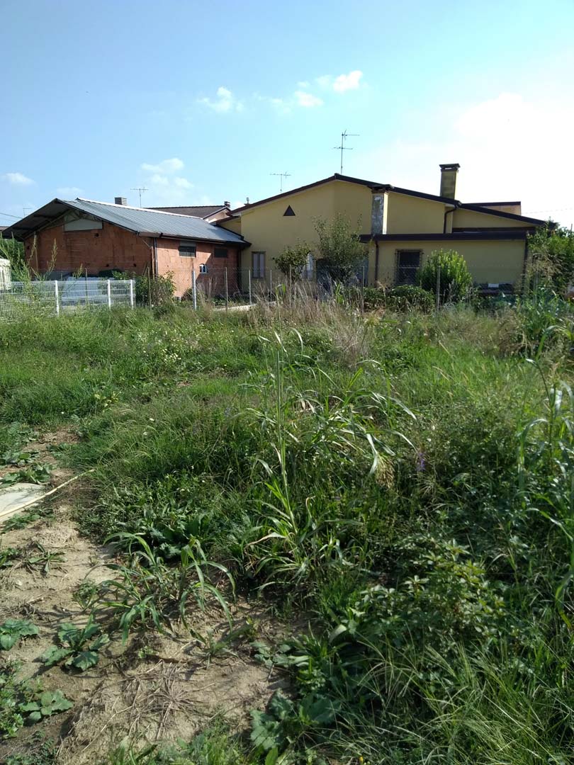 progettazione giardino 250 mq a padova