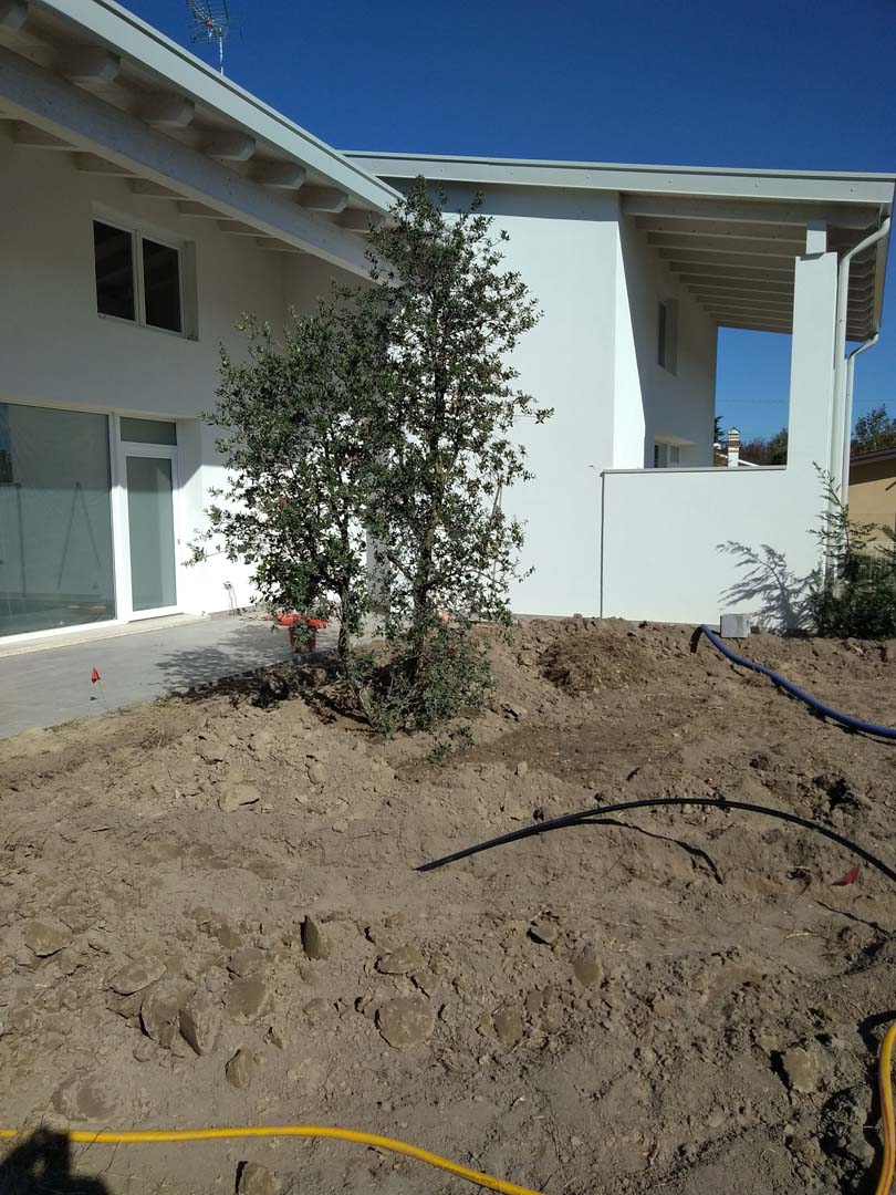 progettazione giardino 250 mq a padova
