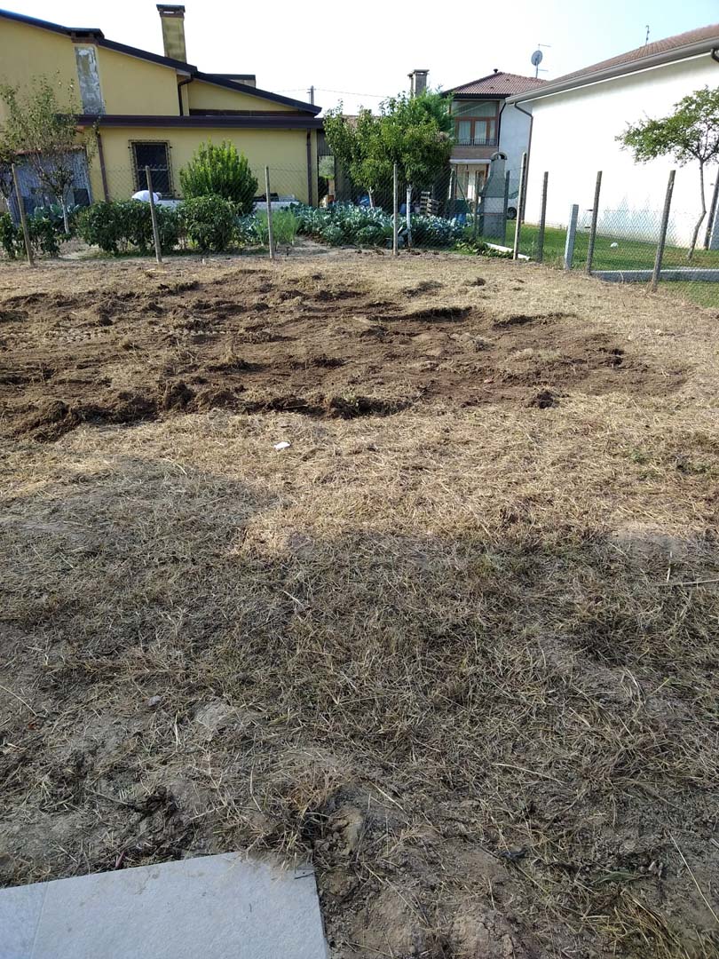 progettazione giardino 230 mq a padova