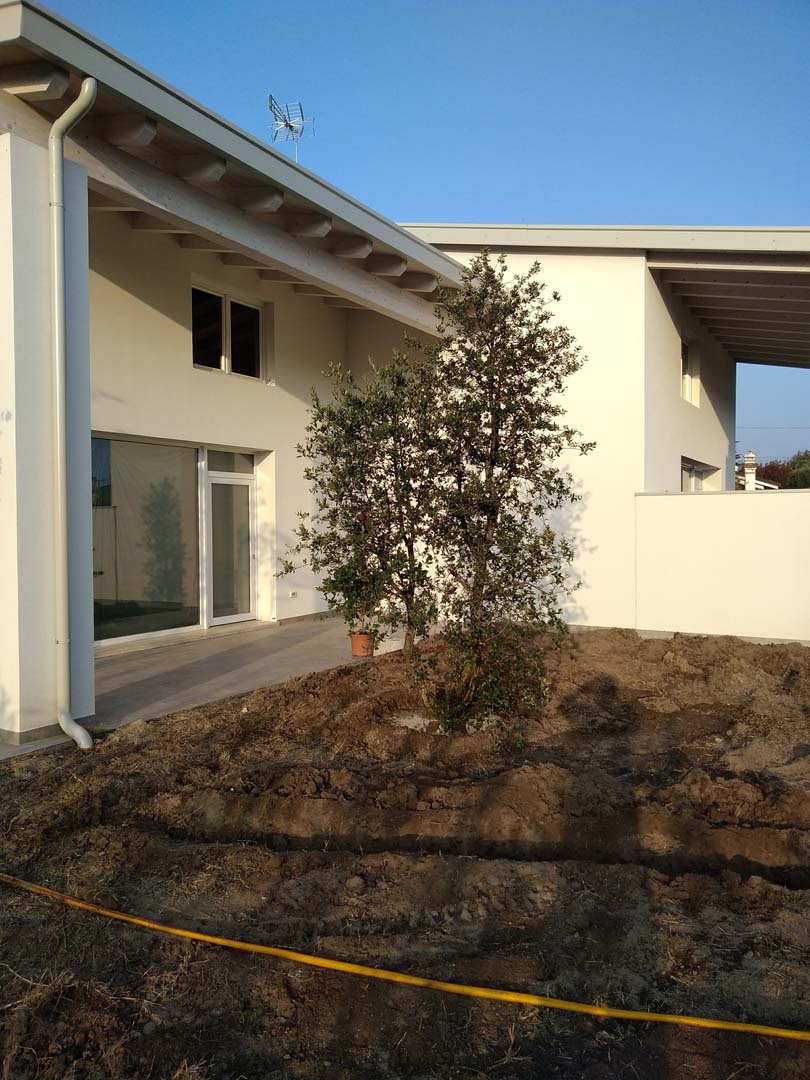 progettazione giardino 250 mq a padova