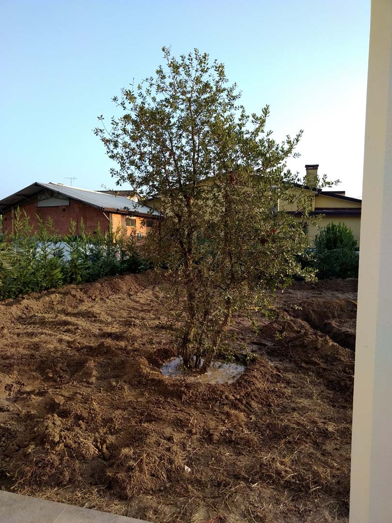 progettazione giardino 250 mq a padova