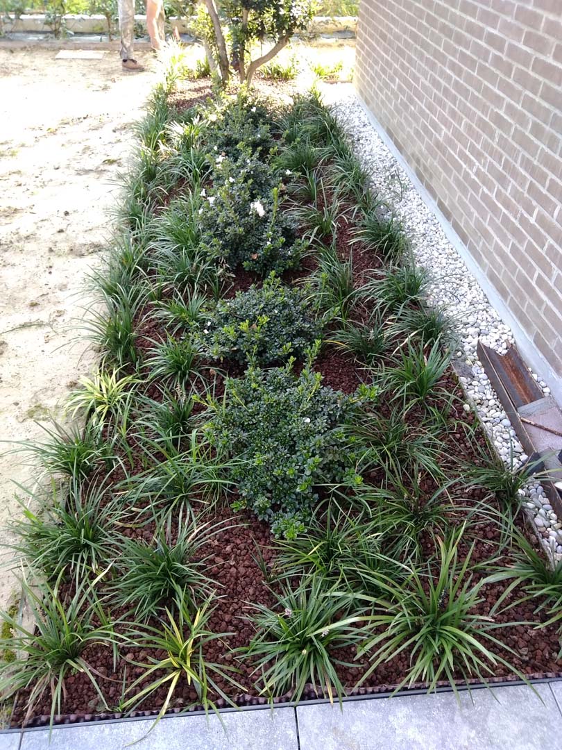 progettazione giardino 230 mq a padova