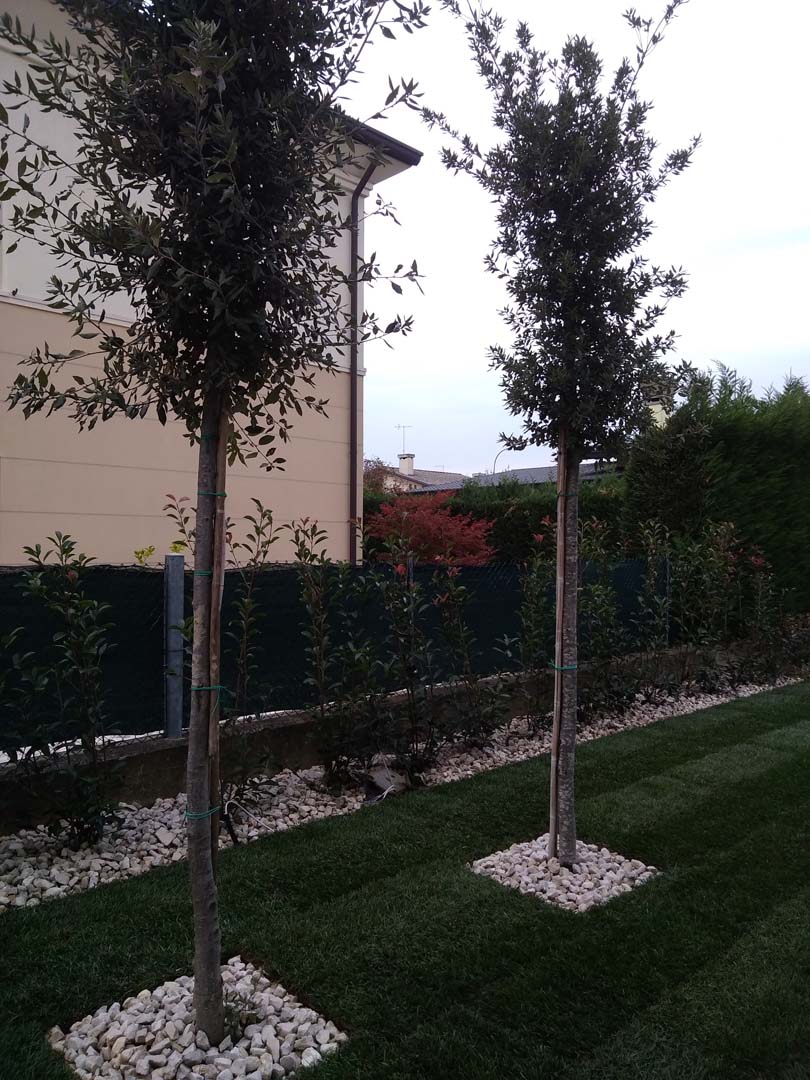 progettazione giardino 230 mq a padova