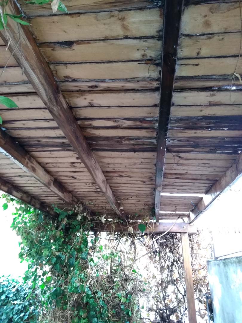 progettazione giardino 230 mq a padova