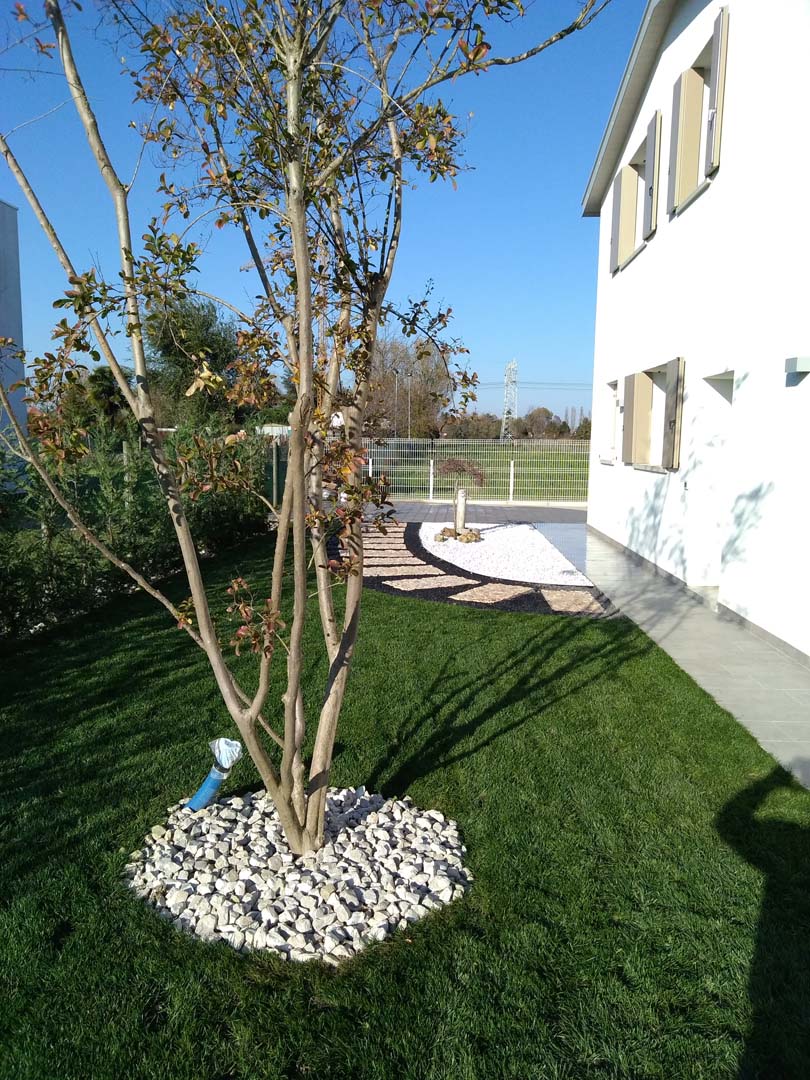progettazione giardino 250 mq a padova