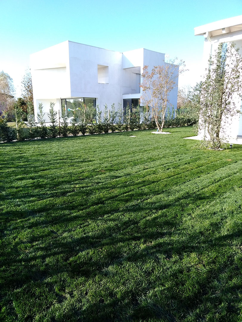 progettazione giardino 250 mq a padova