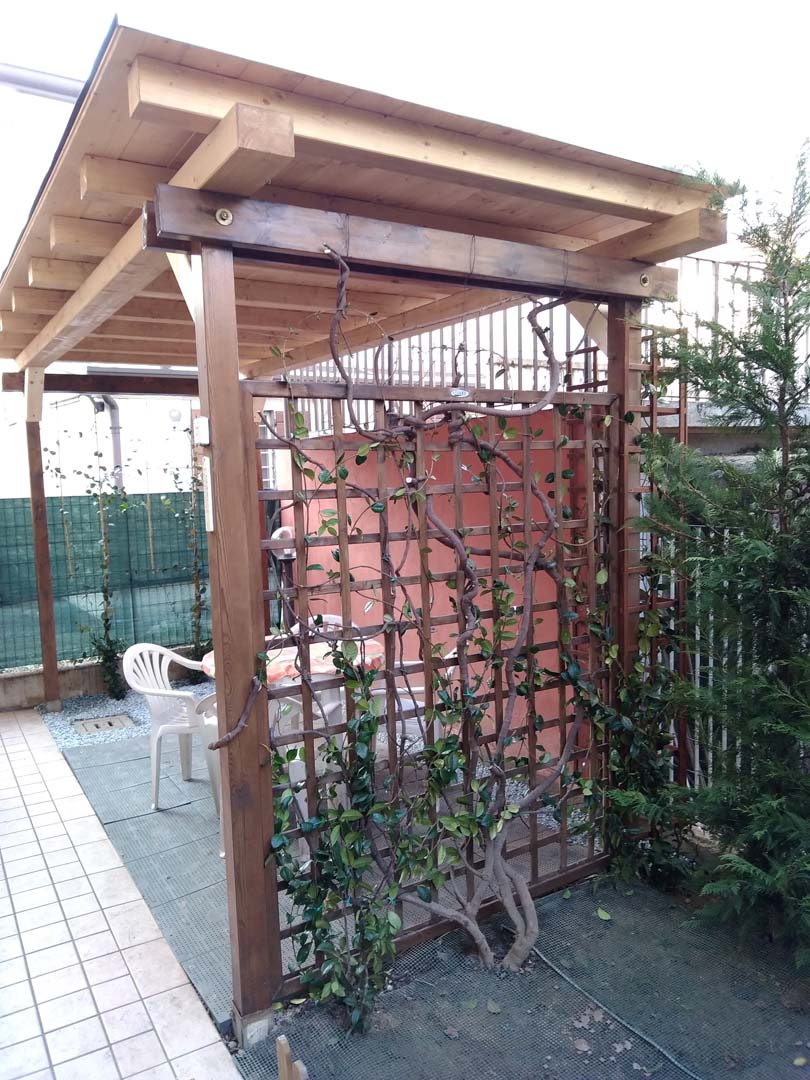 progettazione giardino 230 mq a padova