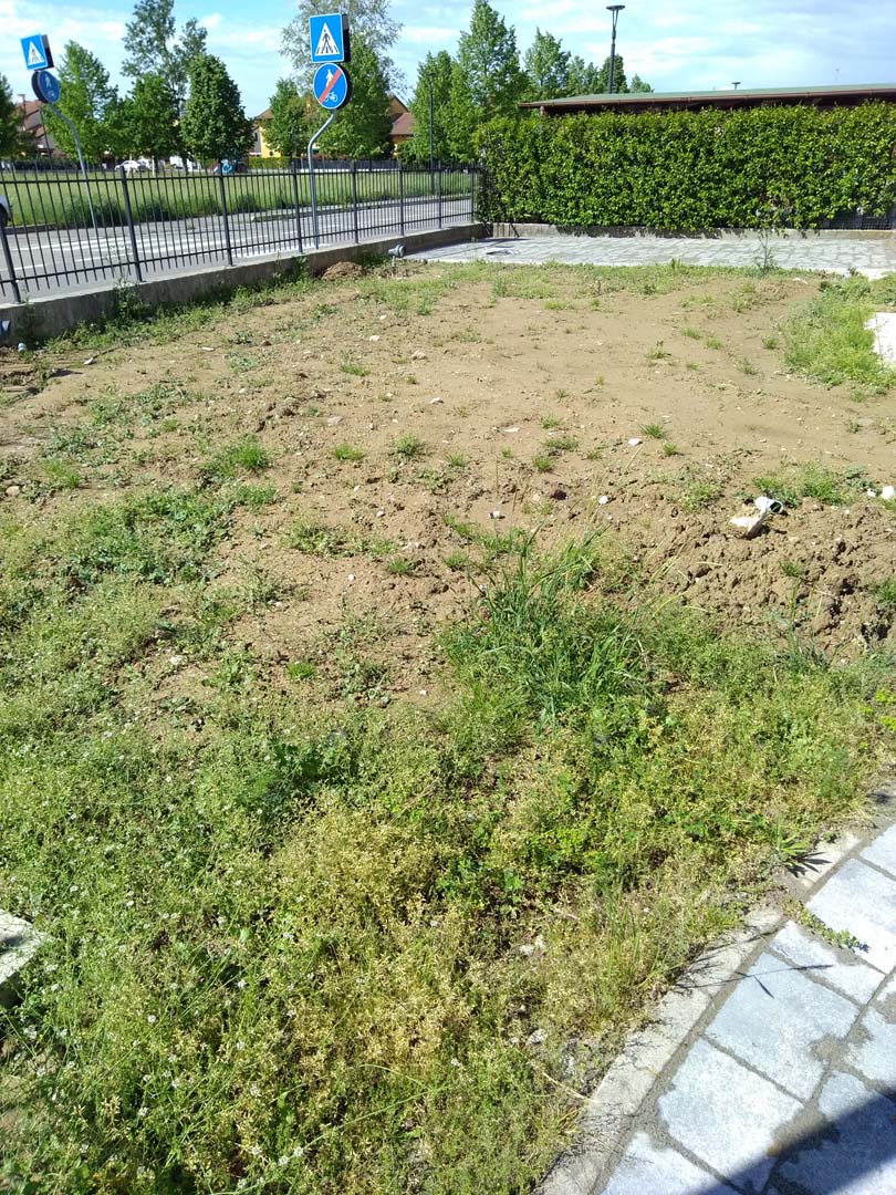 progettazione giardino 70 mq a padova
