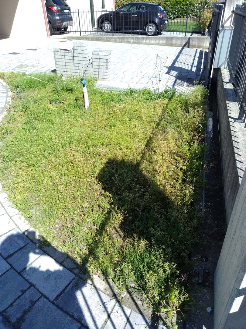 progettazione giardino 70 mq a padova