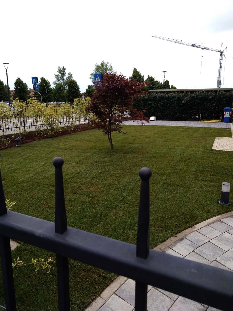 progettazione giardino 70 mq a padova
