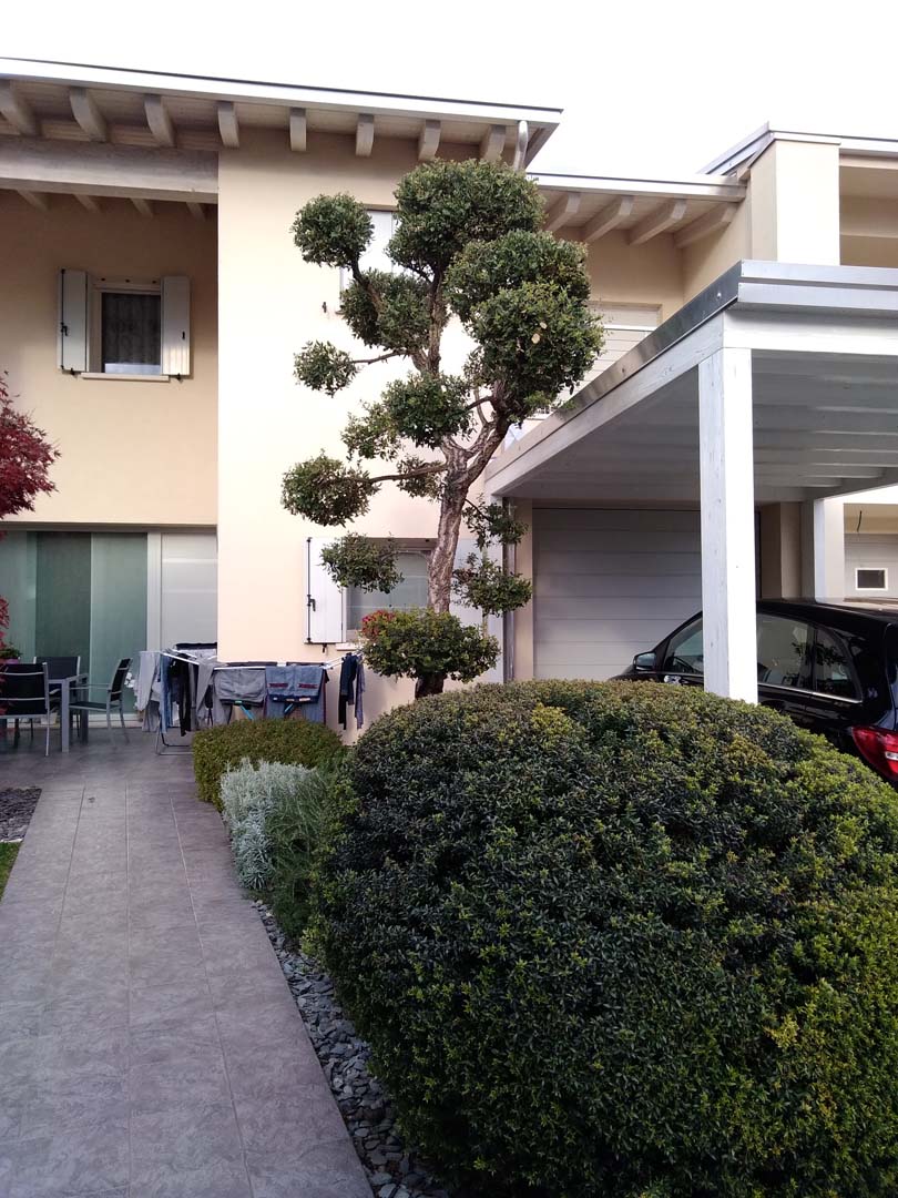 progettazione giardino 230 mq a padova