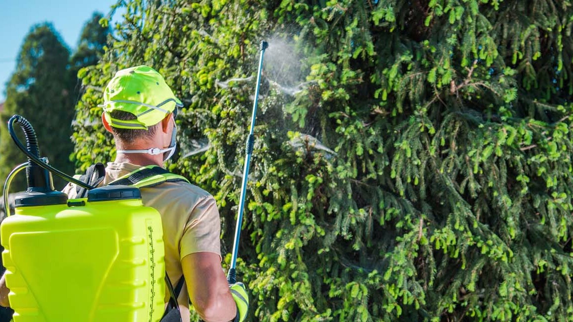 Disinfestazioni Padova Stefano Belloni Giardiniere